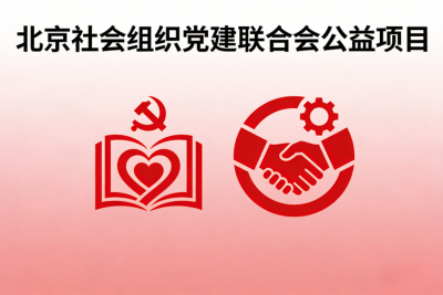 社会组织党建联合会项目